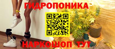 гашик Лесосибирск