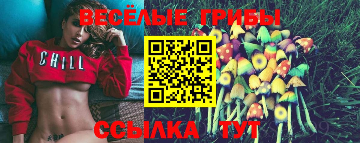 Псилоцибиновые грибы прущие грибы Железногорск