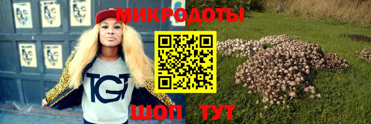 купить наркоту  Вход с VPN  Железногорск  Псилоцибиновые грибы Cubensis 